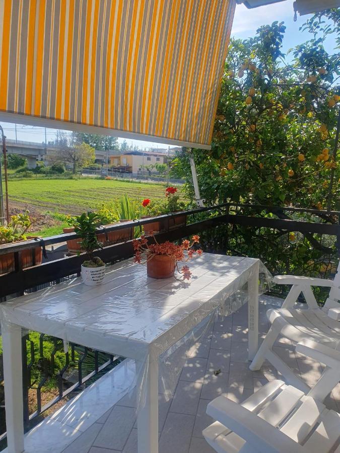 Ospitalita Il Noce Bed and Breakfast Brusciano Eksteriør billede